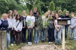 MoZuSchu_HGO_W-Profil_Nisthilfen_Bienen-1747248544187